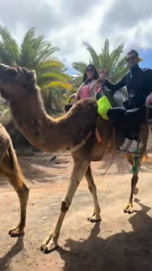 Post 4 by Valentina Venturi on Instagram (video)