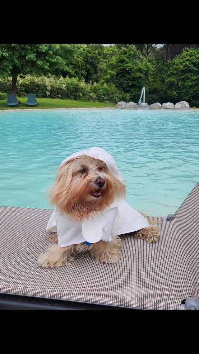 Post 7 by Chopin on Instagram (video)