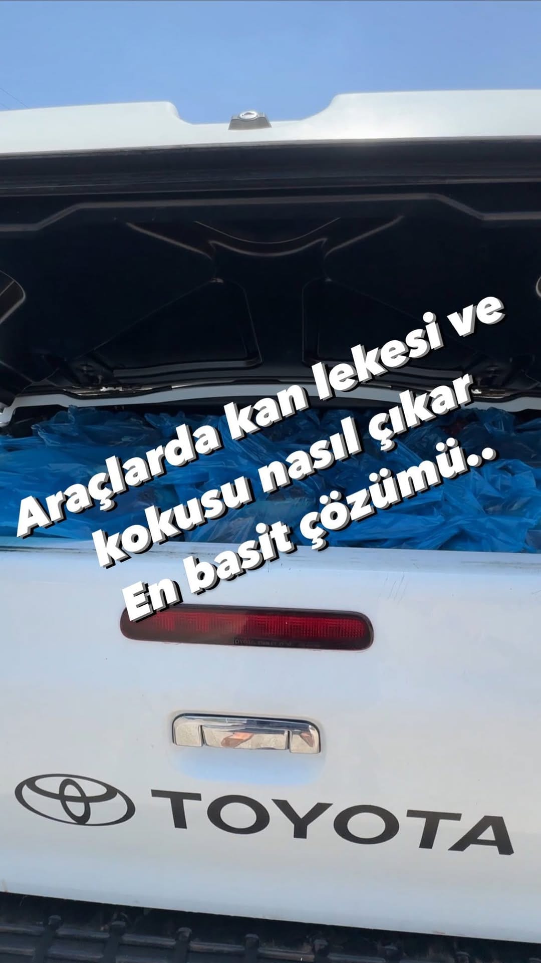 Post 8 by A Kerim Erdem on Instagram (video)