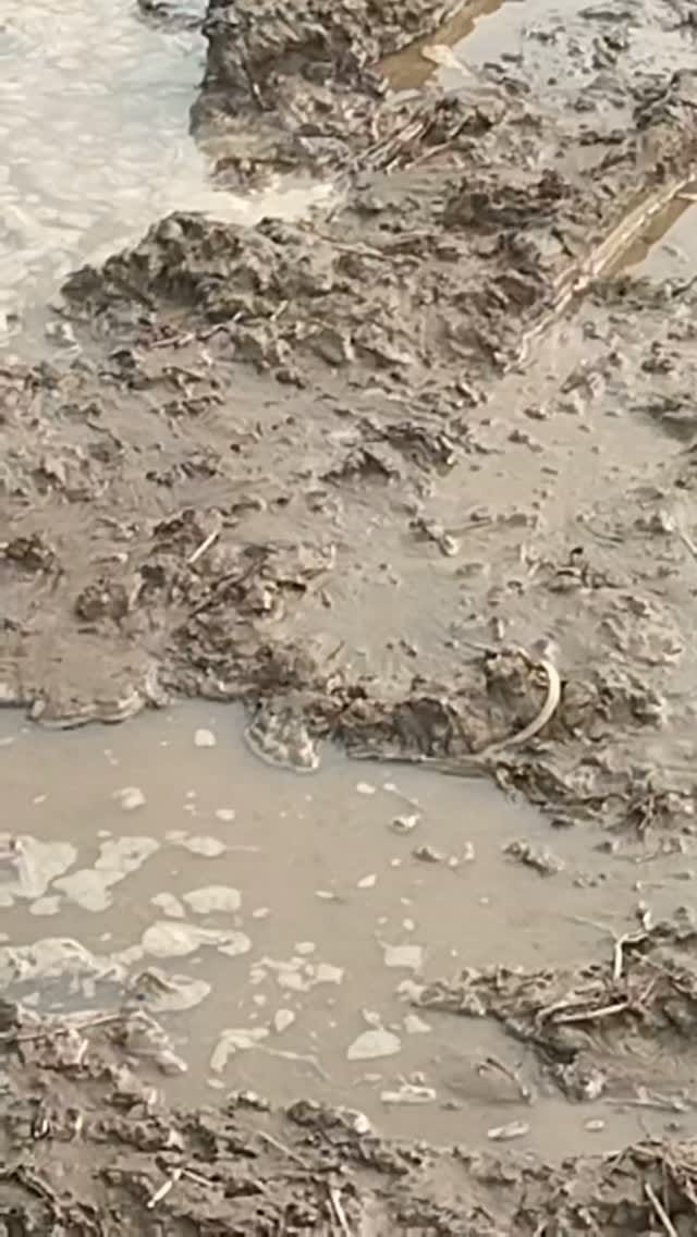 Post 1 by Hard Sidhu on Instagram (video)