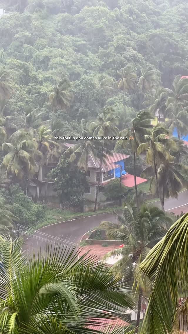 Post 3 by Jigyasaa | TheBohospiration on Instagram (video)