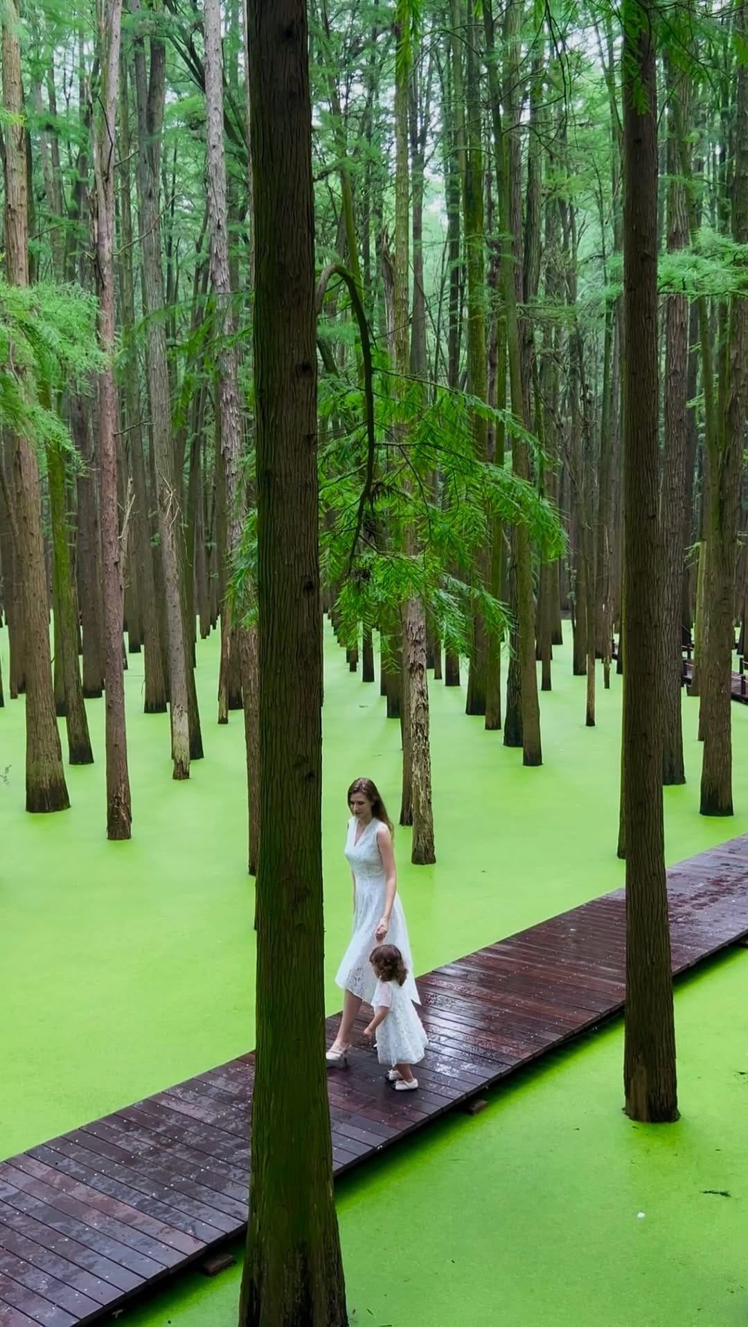 Post 6 by Anna Kano on Instagram (video)