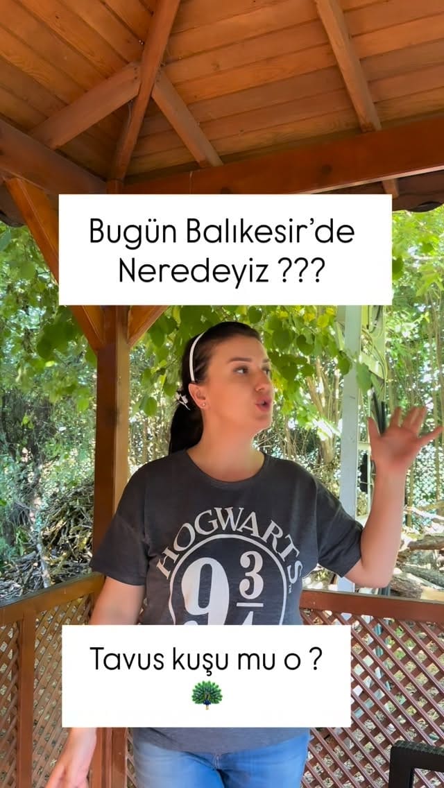 Post 6 by Sinem Haney on Instagram (video)