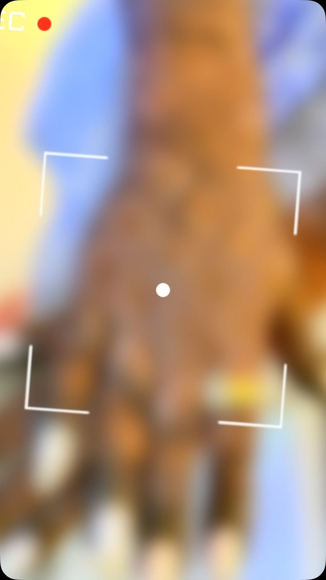 Post 5 by $ifaz on Instagram (video)