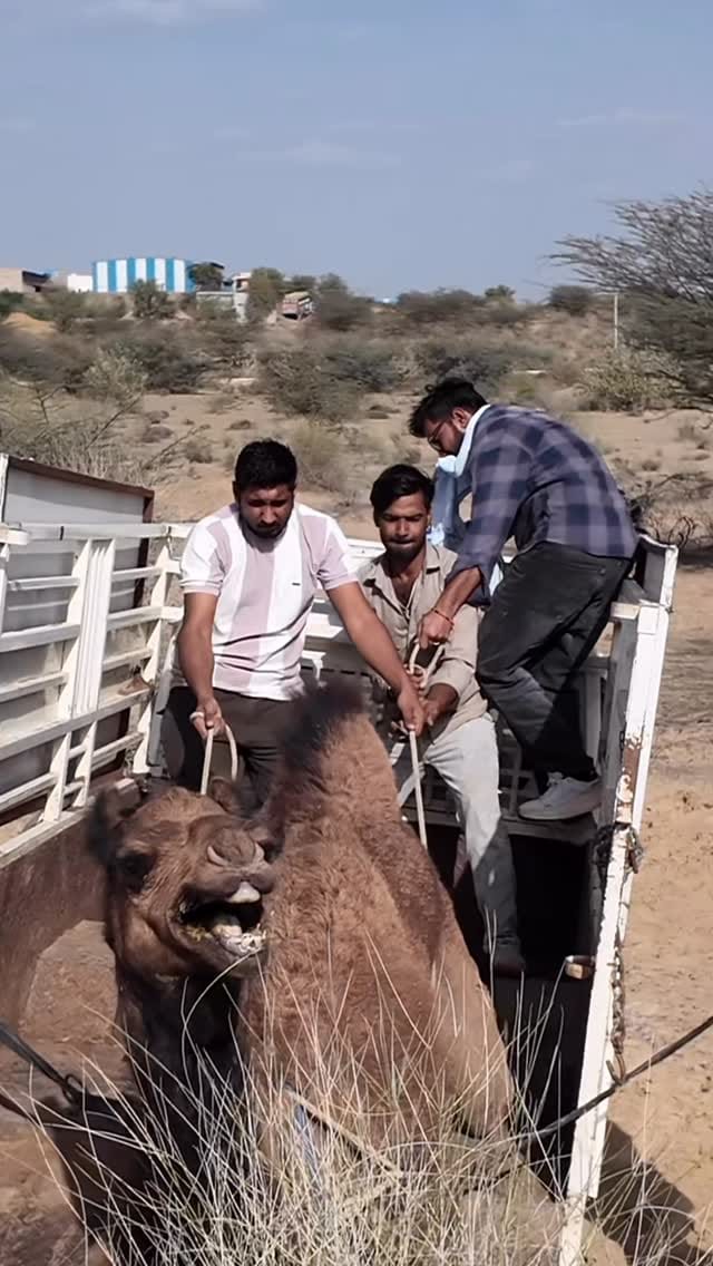 Post 7 by DEEPAK PAREEK on Instagram (video)