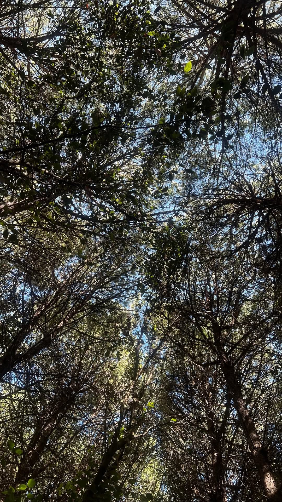 Post 4 by You can call me mare on Instagram (video)
