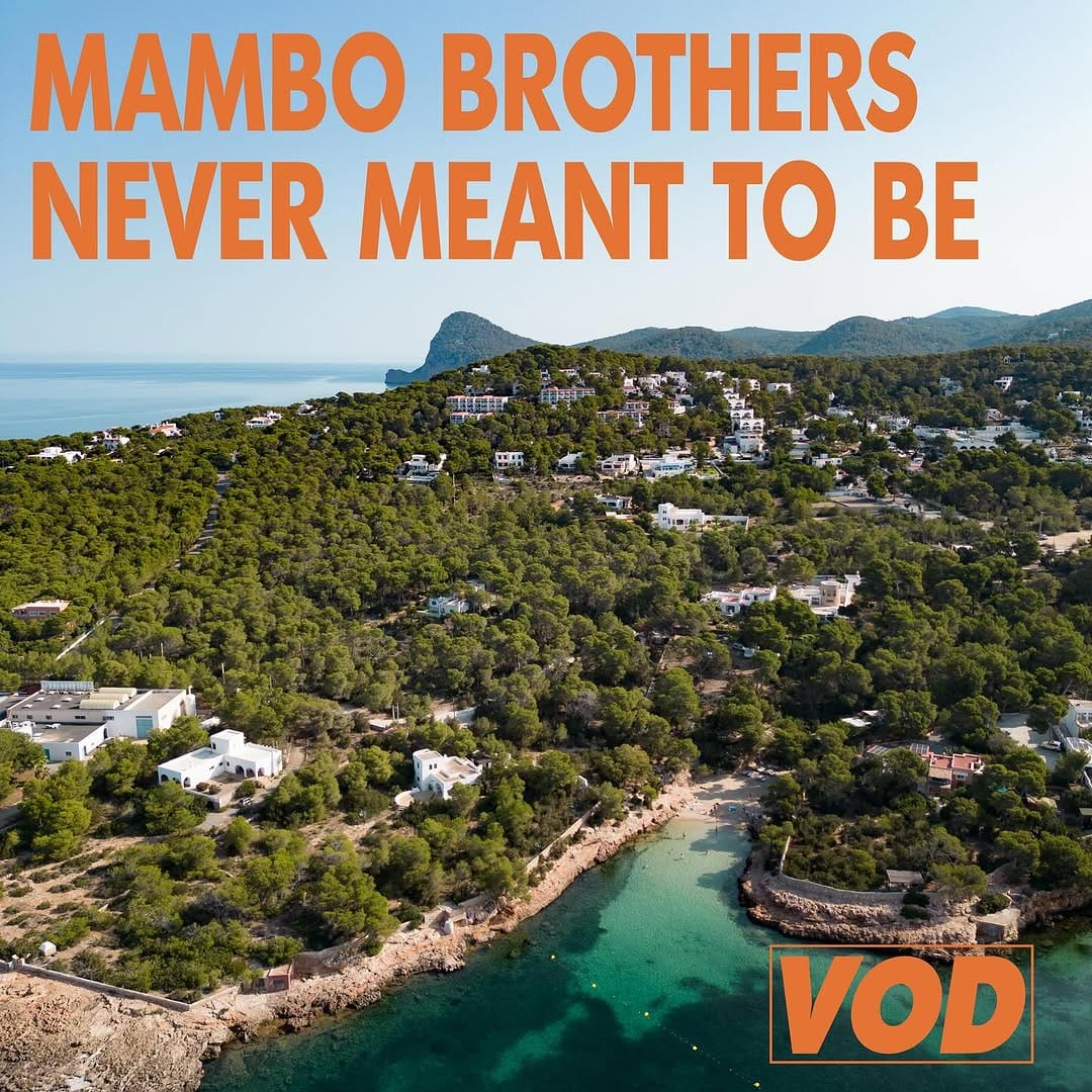 Post 5 by MamboBrothers 🌵 on Instagram (image)