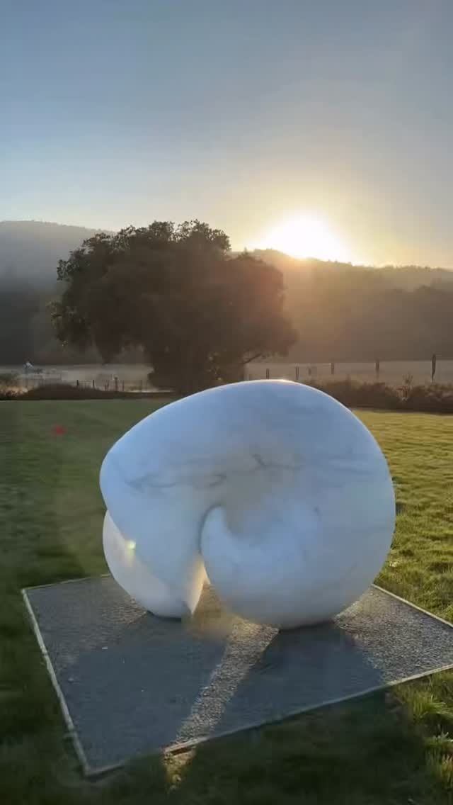 Post 2 by Yoko Kubrick on Instagram (video)