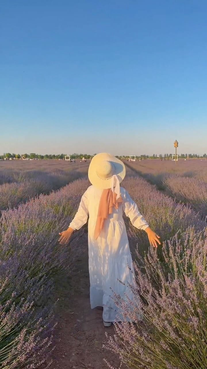 Post 1 by Sena  Girgin on Instagram (video)