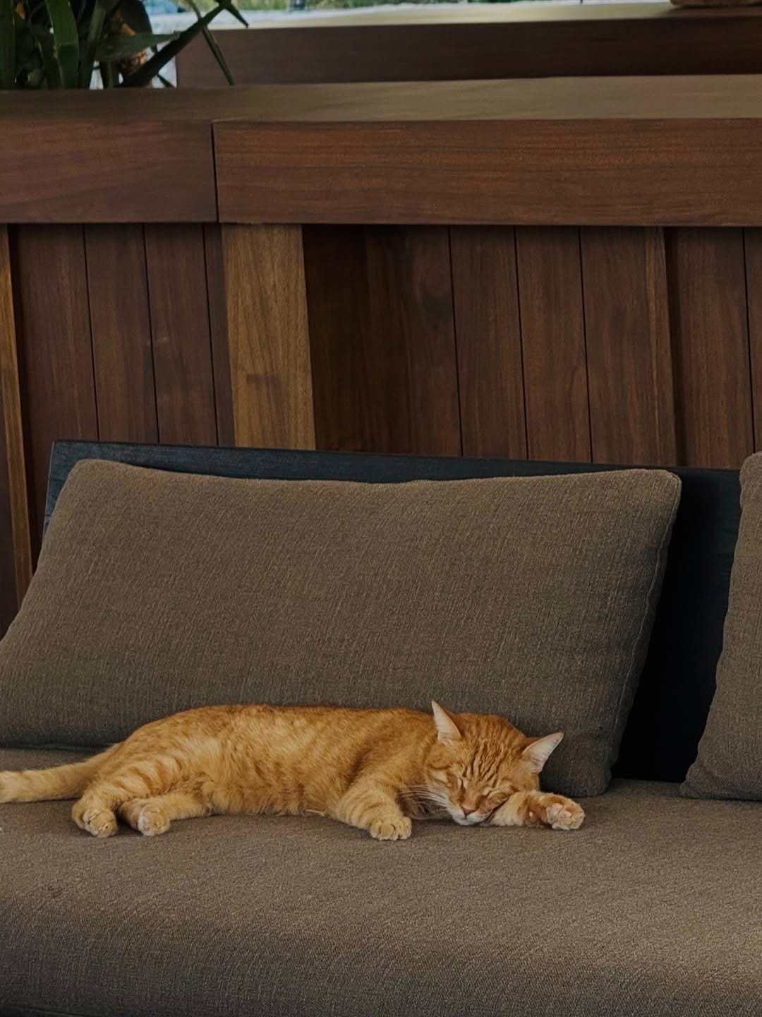 Post 9 by Klinik Psikolog Tuğçe Sakarya Söğüt on Instagram (carousel)