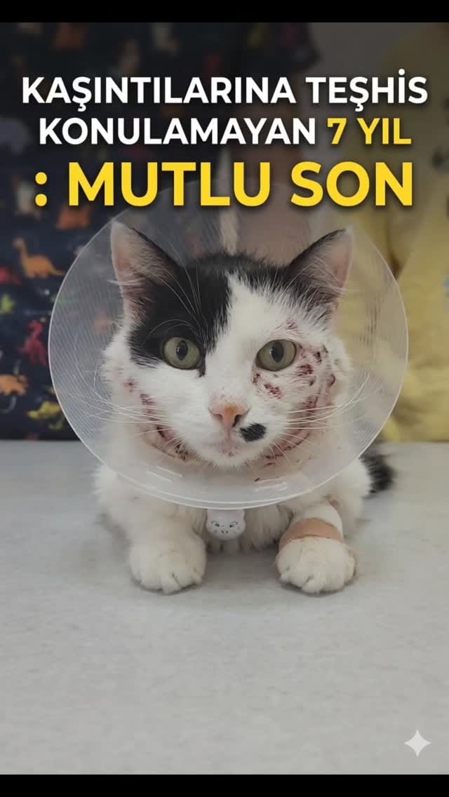 Post 9 by Doktorant Orhan ÇETİN on Instagram (video)