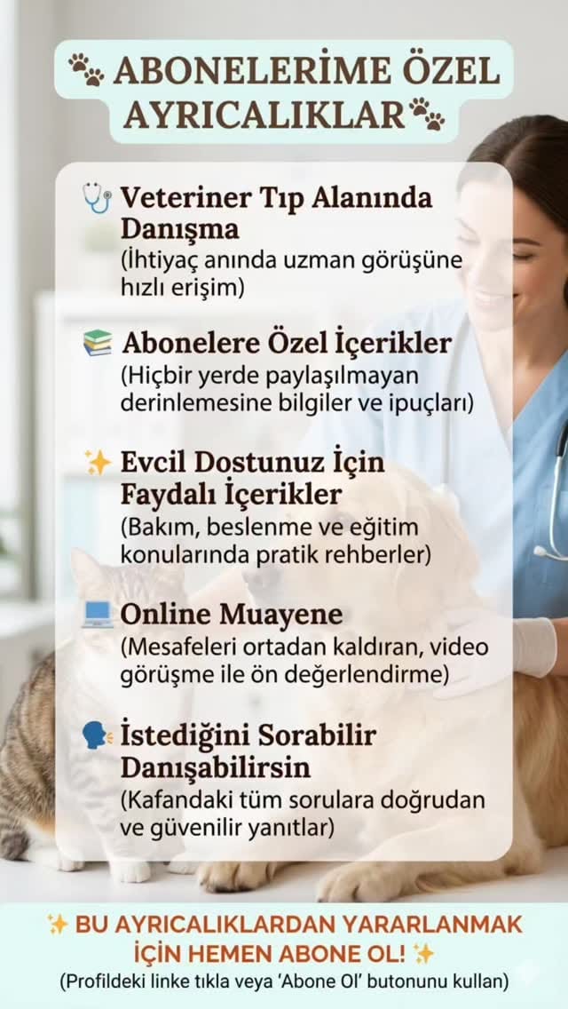 Post 10 by Doktorant Orhan ÇETİN on Instagram (video)