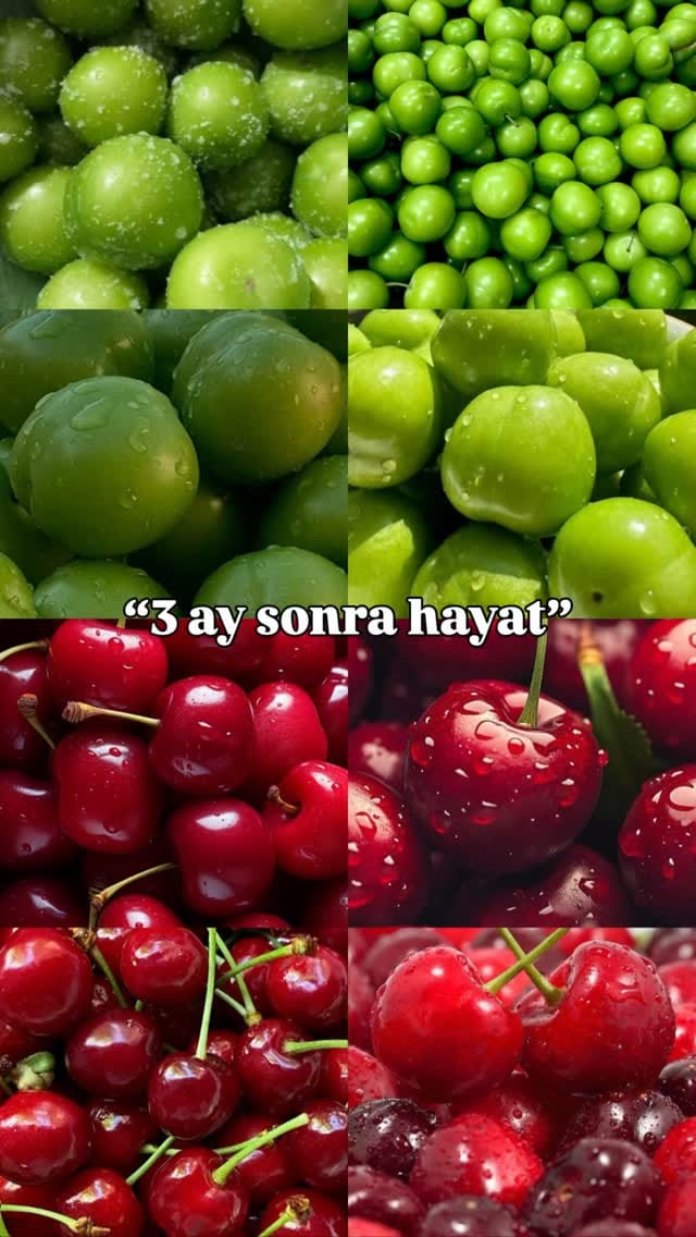Post 6 by Özge Uysal on Instagram (video)