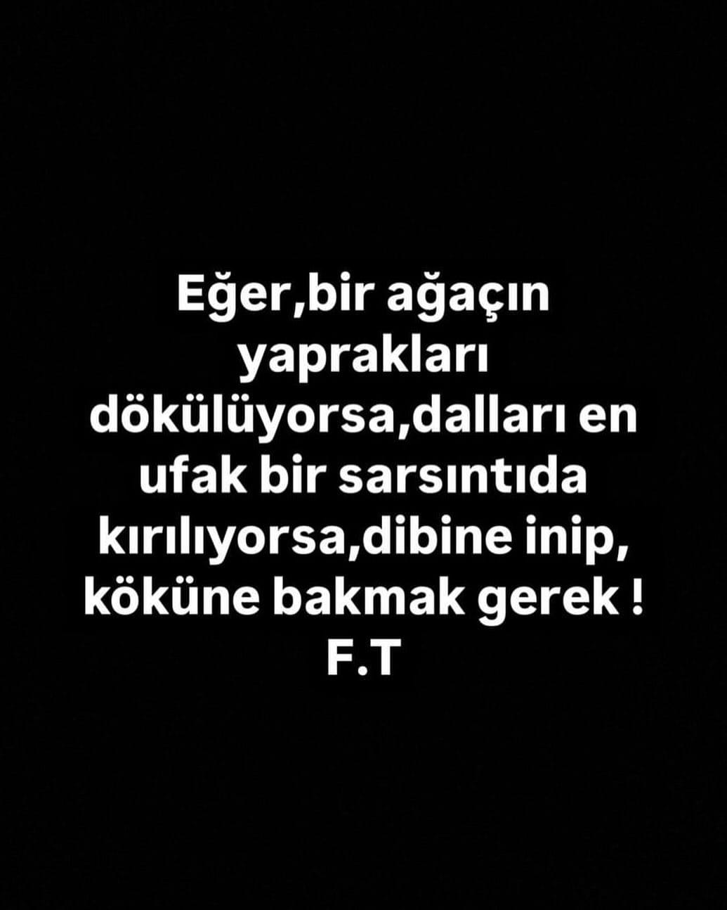 Post 6 by Ferdi Tayfur on Instagram (image)