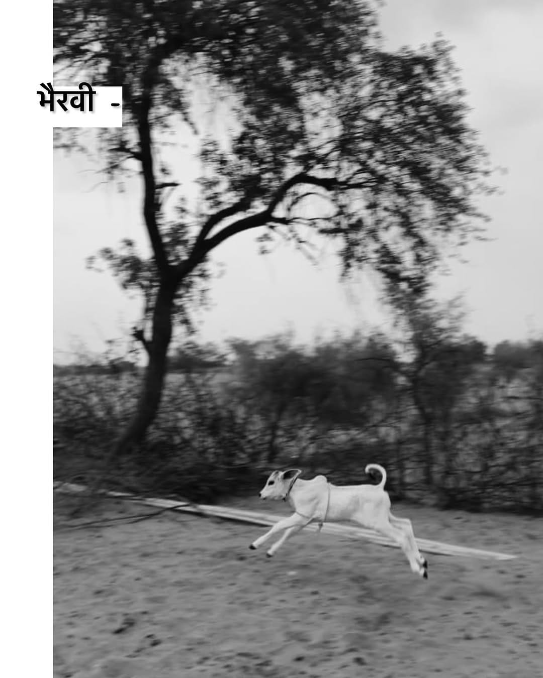Post 1 by तरुण चौहान on Instagram (carousel)