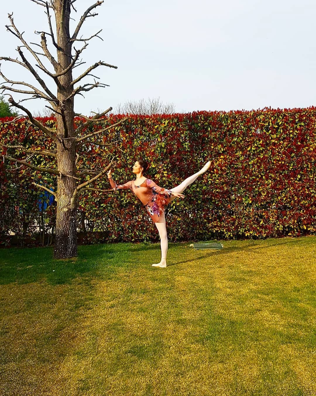 Post 9 by Nicole Manzato on Instagram (image)