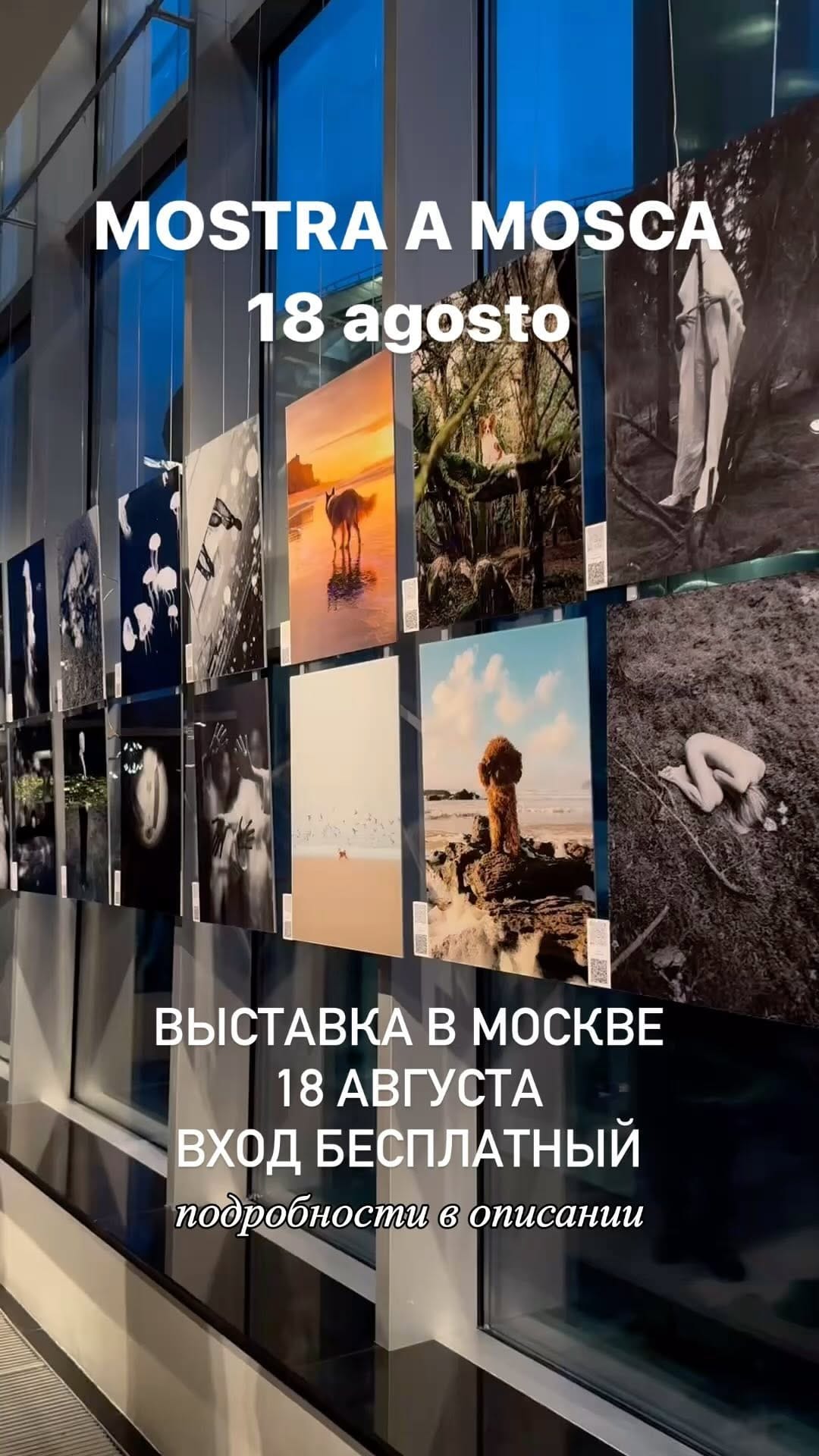 Post 2 by Alyona Tsarbell on Instagram (video)