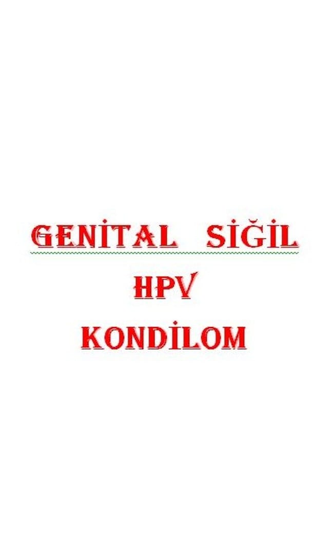 Post 5 by Prof Dr Cem Turan on Instagram (video)
