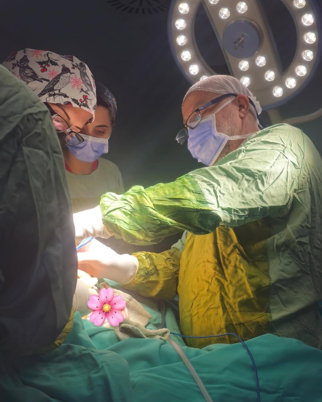 Post 9 by Prof.Dr.Ahmet DAĞ on Instagram (image)