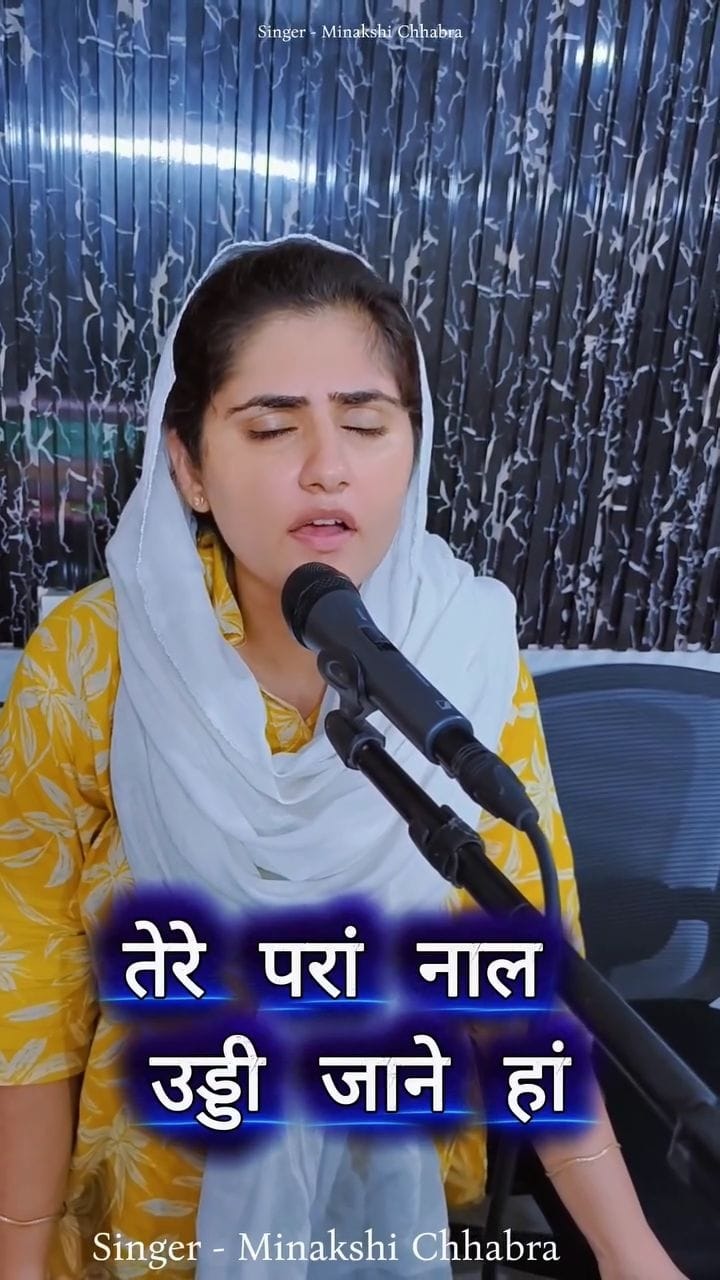 Post 4 by Minakshi Chhabra on Instagram (video)