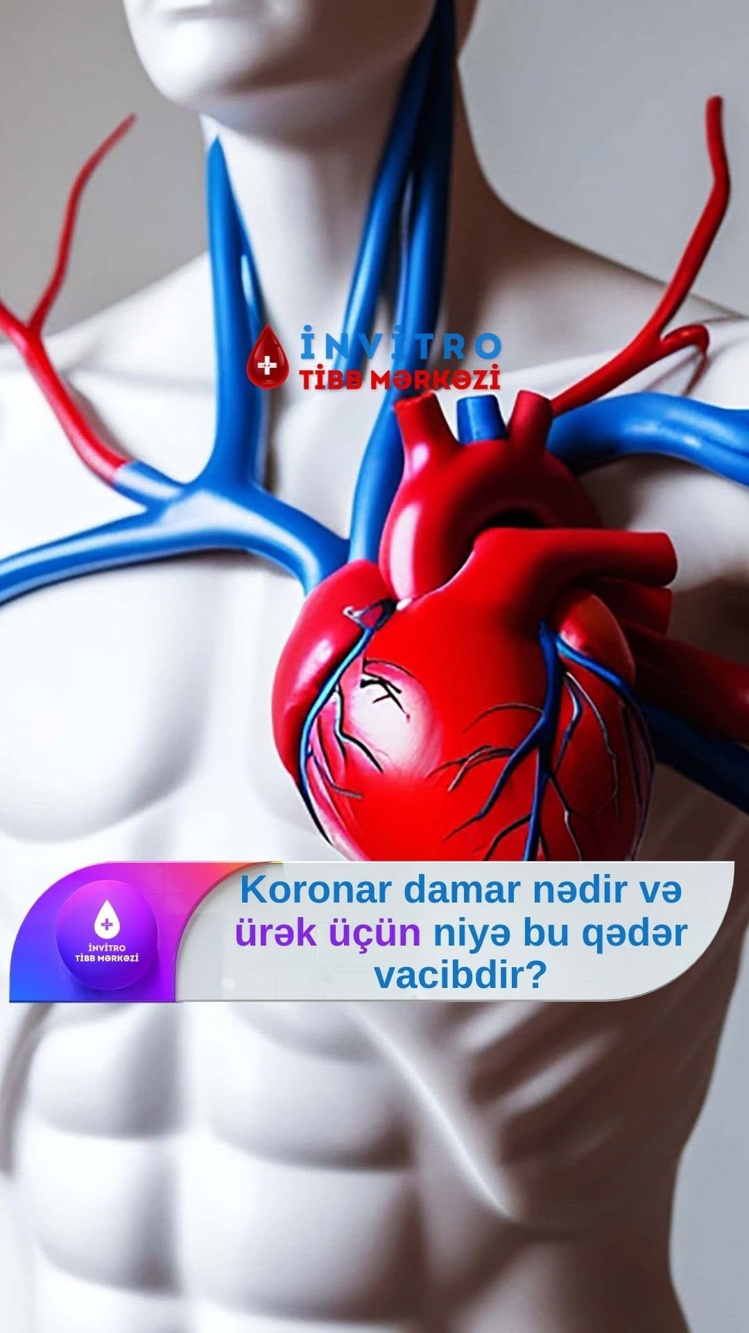 Post 3 by Dr.Əhməd Seyidov on Instagram (video)