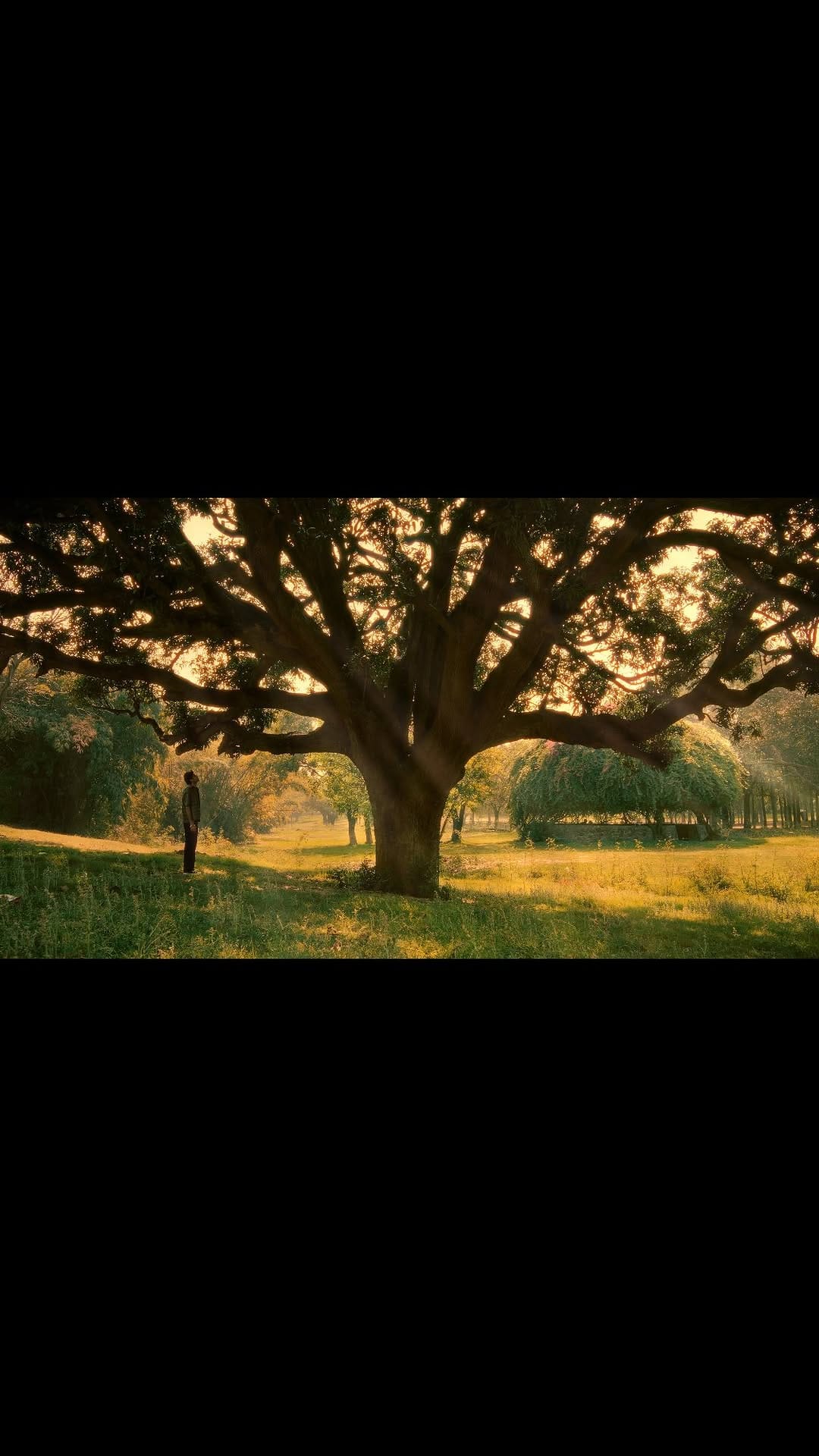 Post 9 by @jasxze on Instagram (video)