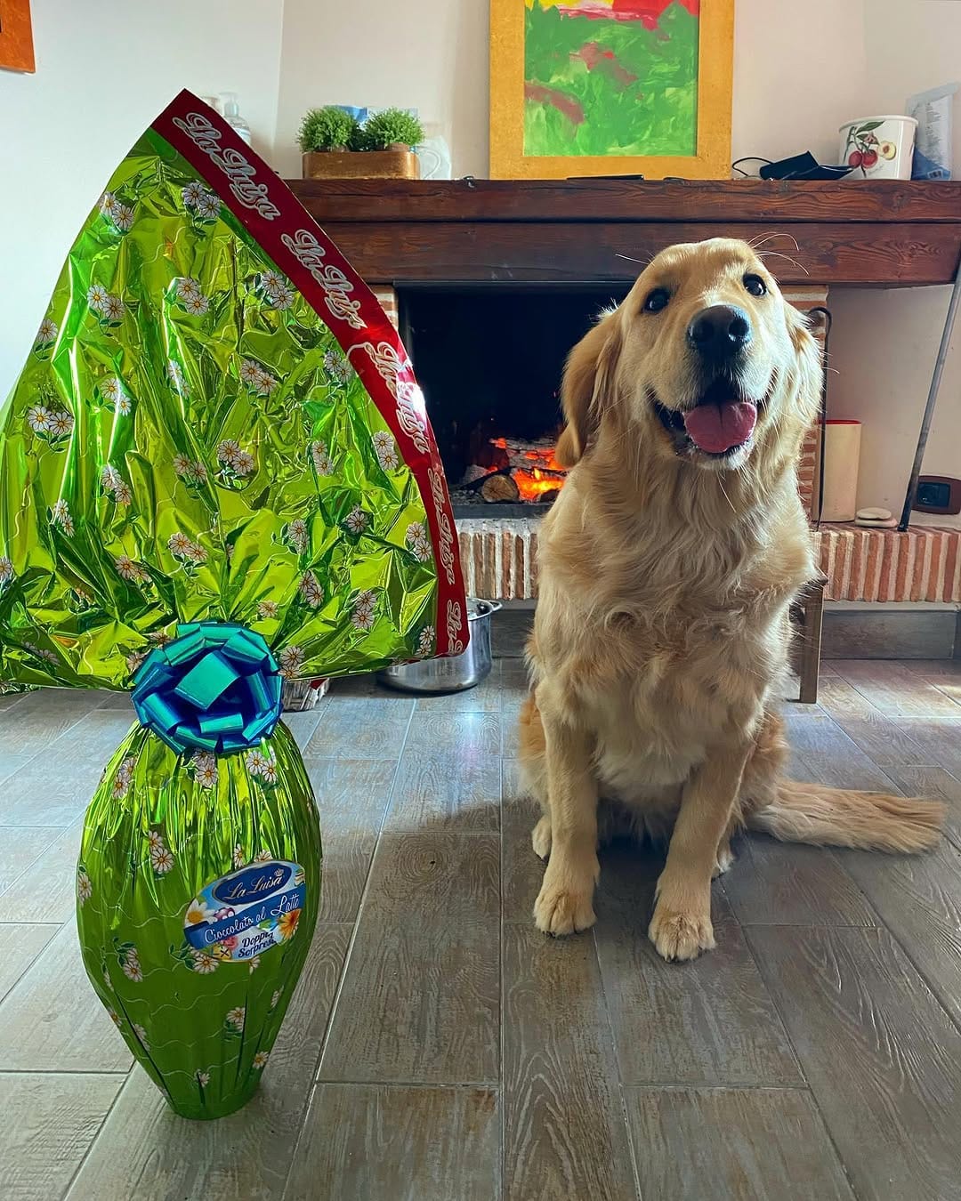Post 7 by Maggie 🐶 on Instagram (image)