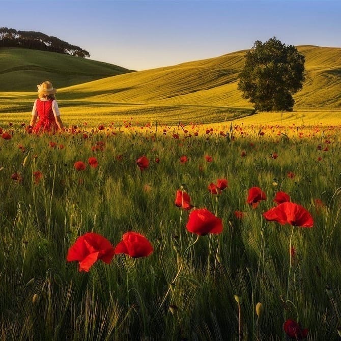 Post 1 by Travel On Dreams on Instagram (image)