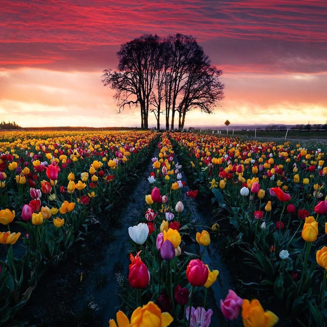 Post 4 by Travel On Dreams on Instagram (image)