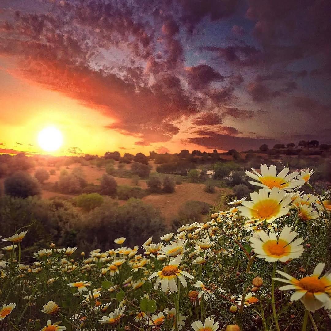 Post 7 by Travel On Dreams on Instagram (image)