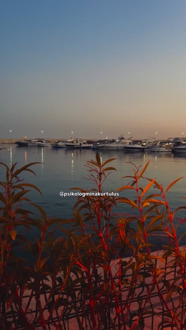 Post 4 by Uzm. Klinik Psikolog Mina Kurtuluş Mersin on Instagram (video)