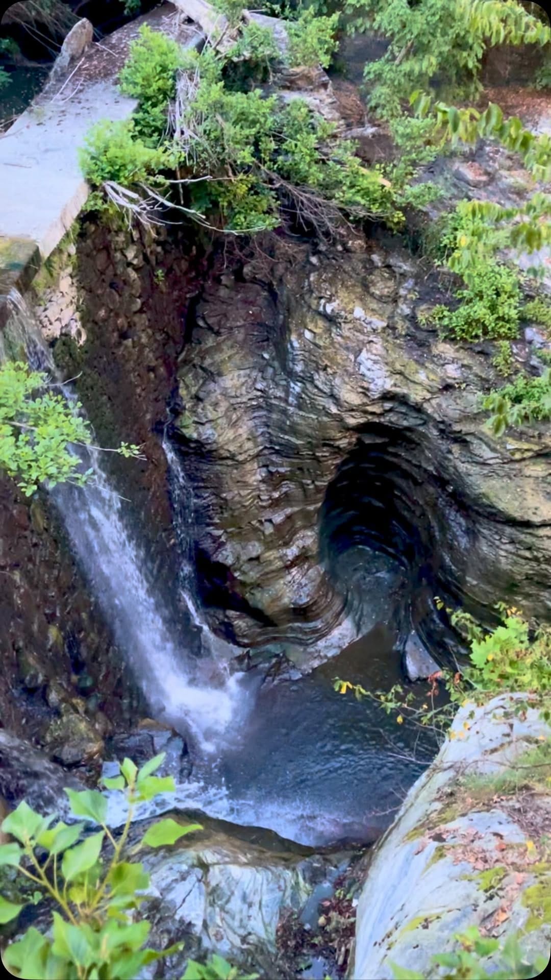 Post 1 by gazzarrini lorenzo Genova on Instagram (video)
