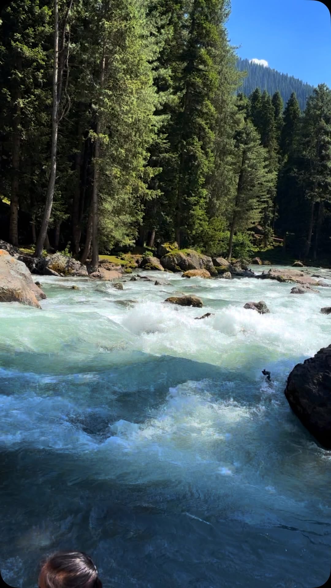 Post 2 by Attri Saab on Instagram (video)