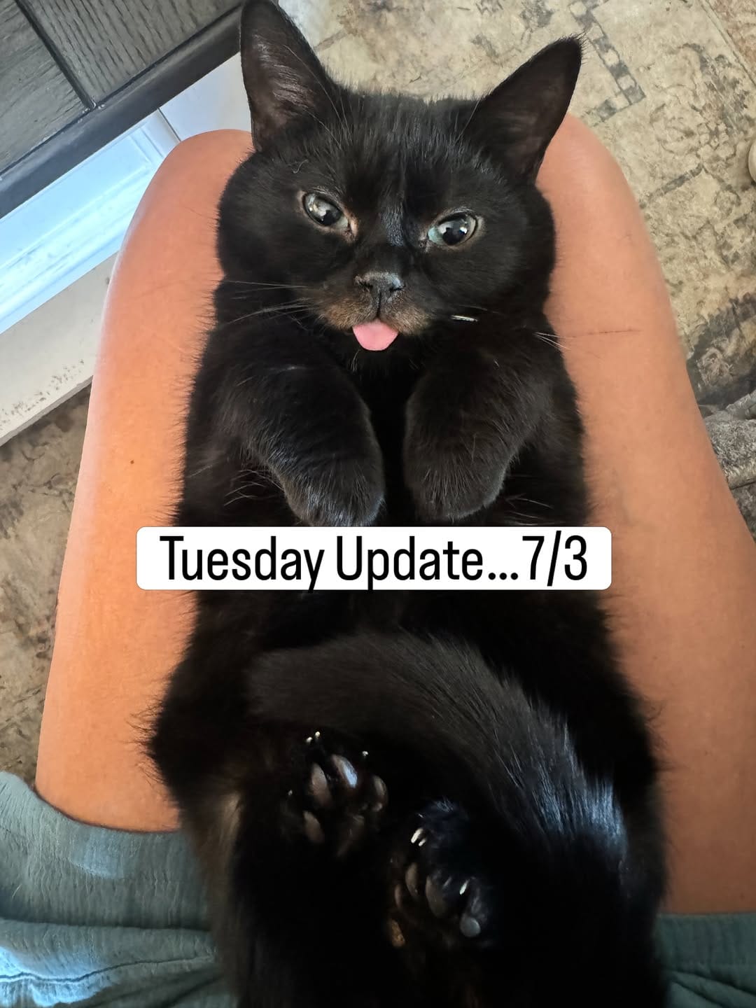 Post 9 by Sarah | Tiredasamother on Instagram (image)