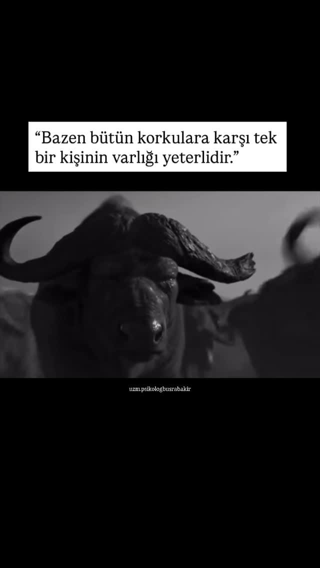 Post 4 by Uzman Psikolog Büşra Bakır Kayacan on Instagram (video)