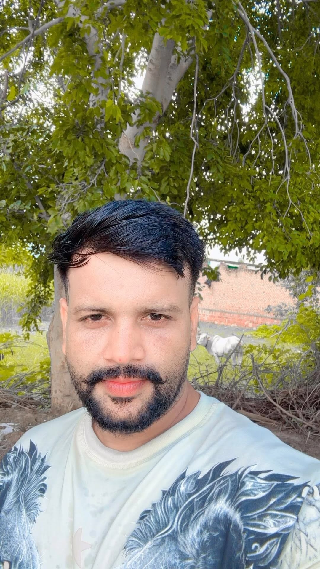 Post 6 by Dharmender dev on Instagram (video)