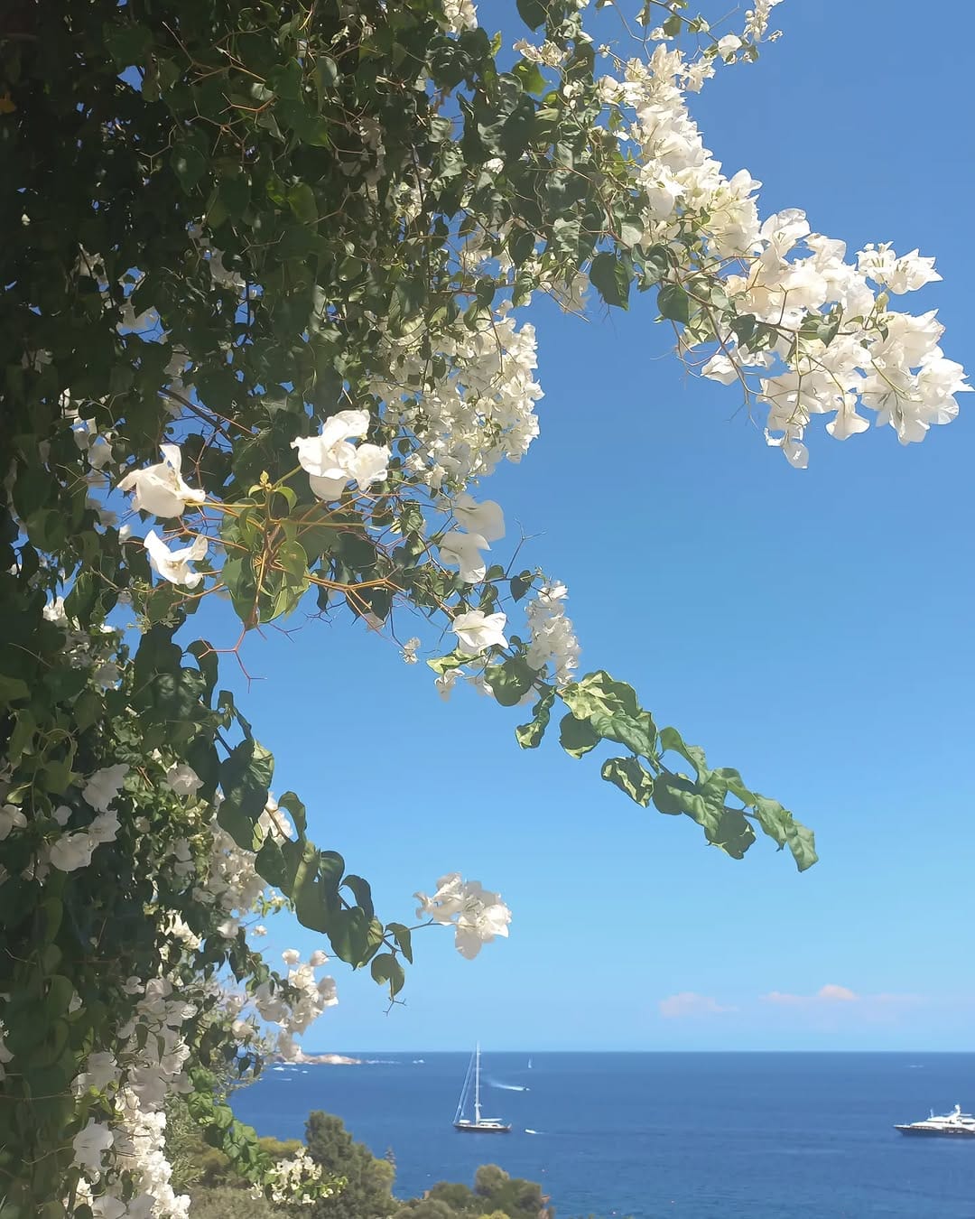 Post 8 by 𝒴𝓁𝑒𝓃𝒾𝒶 ✨ on Instagram (image)
