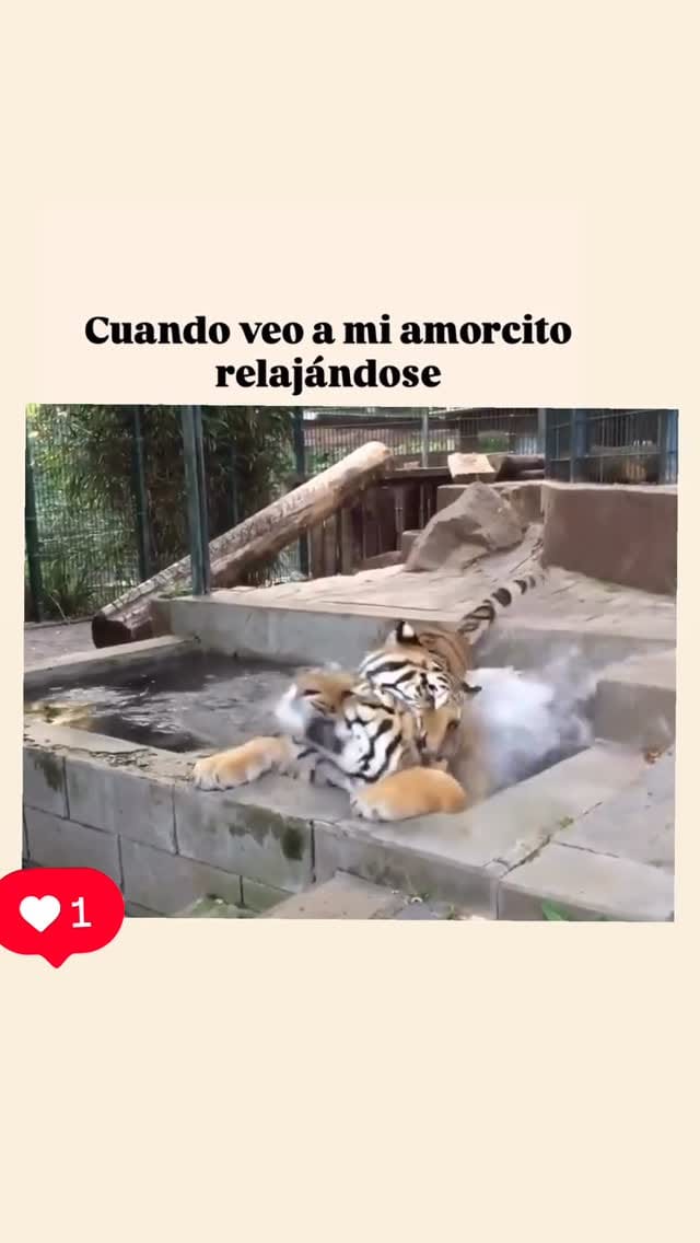 Post 8 by JIREH on Instagram (video)