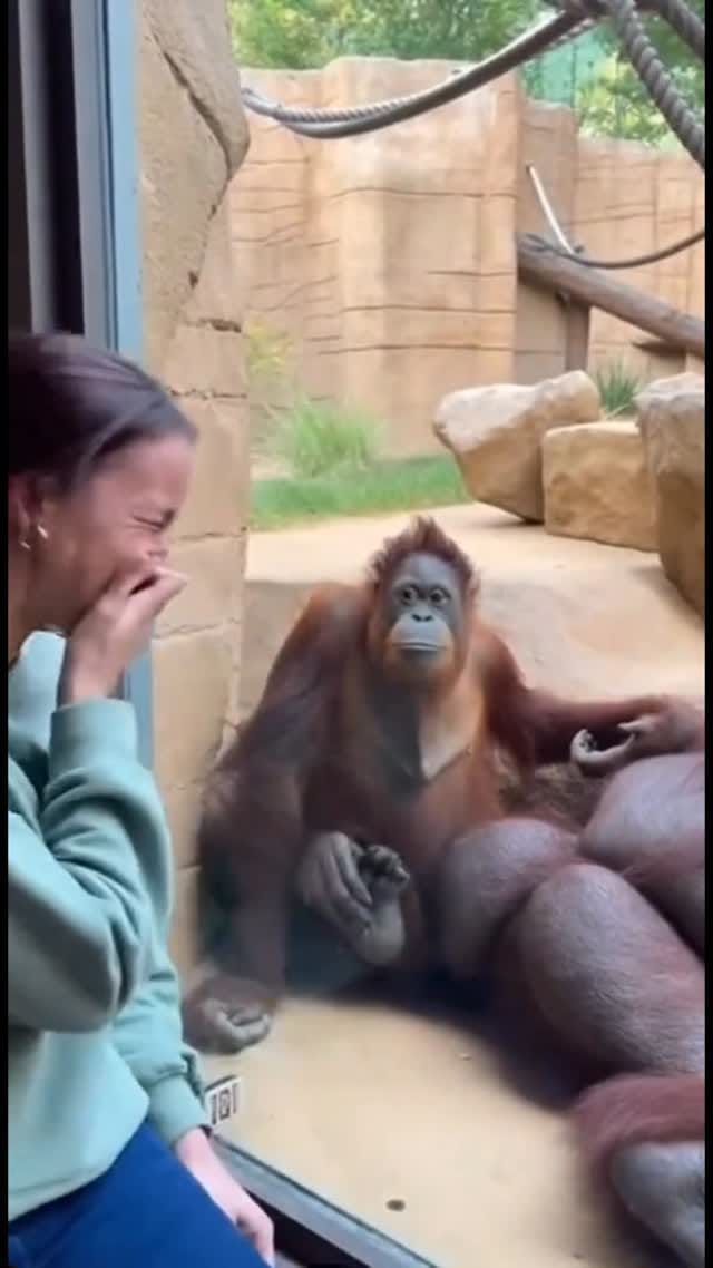 Post 5 by JIREH on Instagram (video)