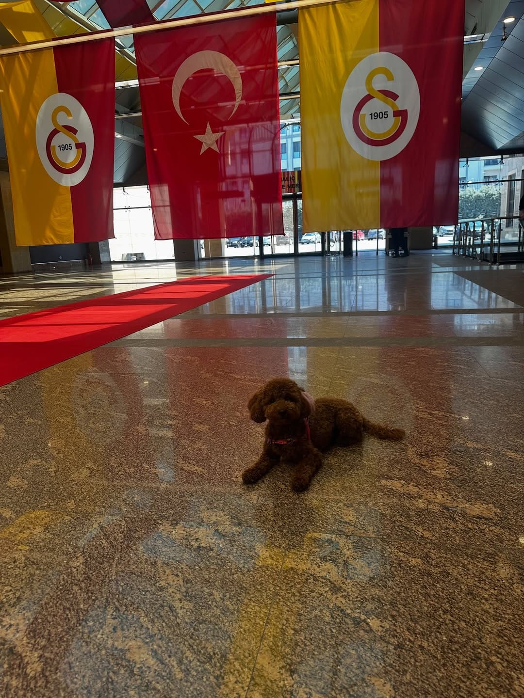 Post 3 by ALEV VATANSEVER TİRALİ on Instagram (image)