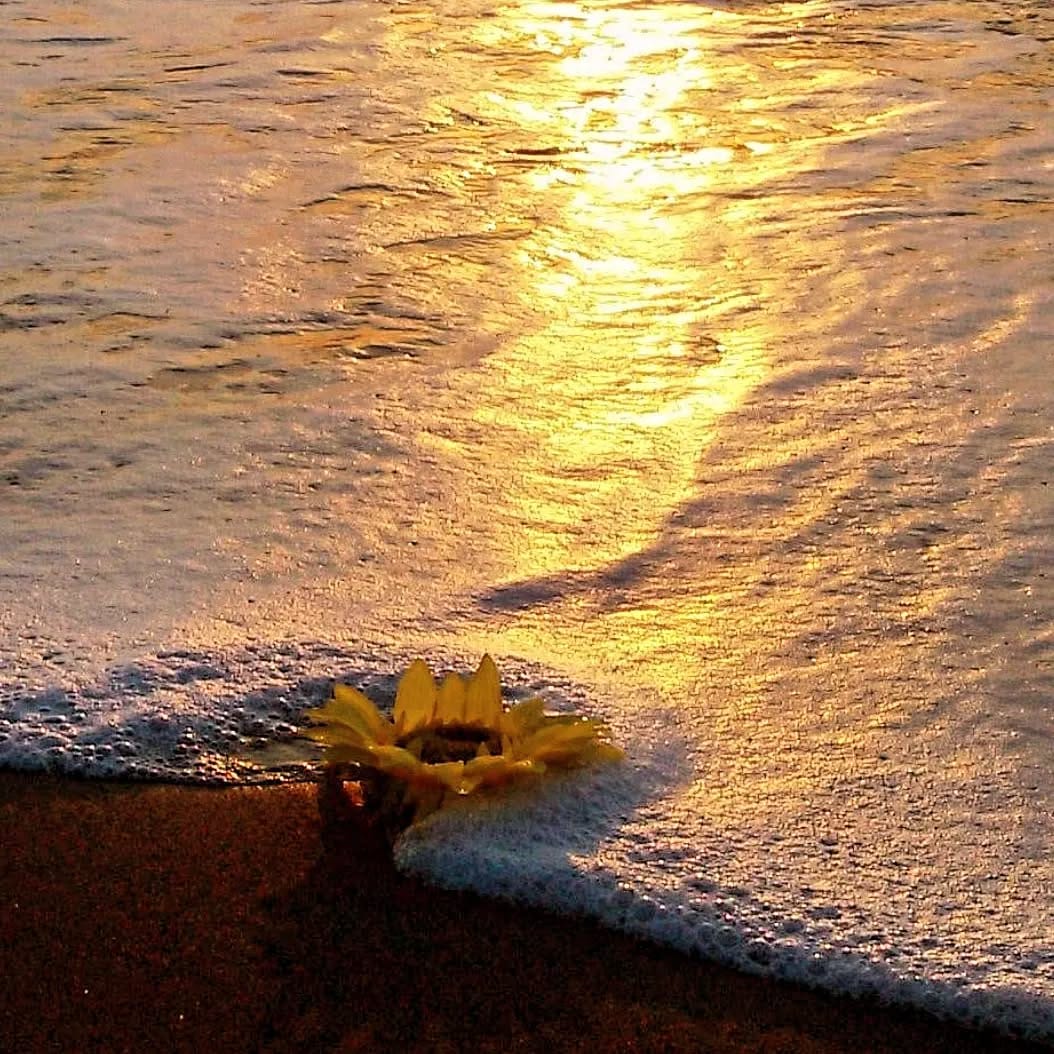 Post 3 by Seref Ugutmen on Instagram (image)