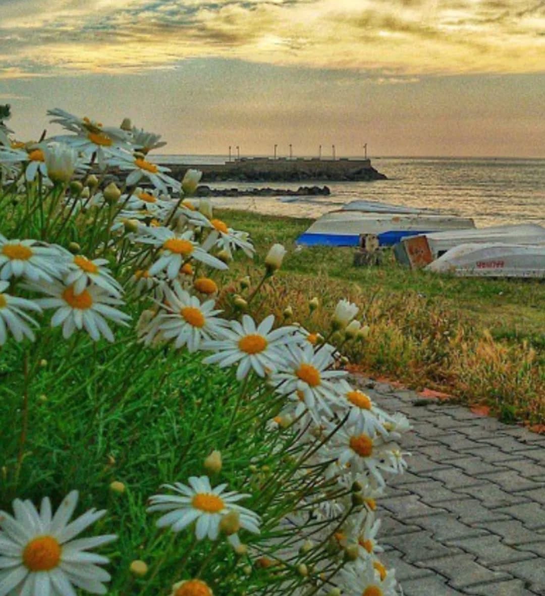 Post 2 by Seref Ugutmen on Instagram (image)
