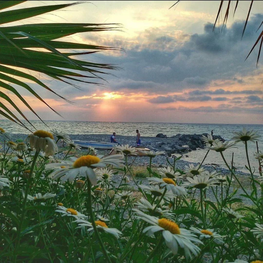 Post 5 by Seref Ugutmen on Instagram (image)