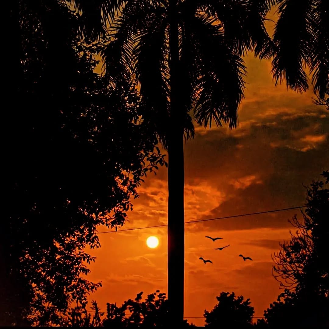 Post 1 by Seref Ugutmen on Instagram (image)