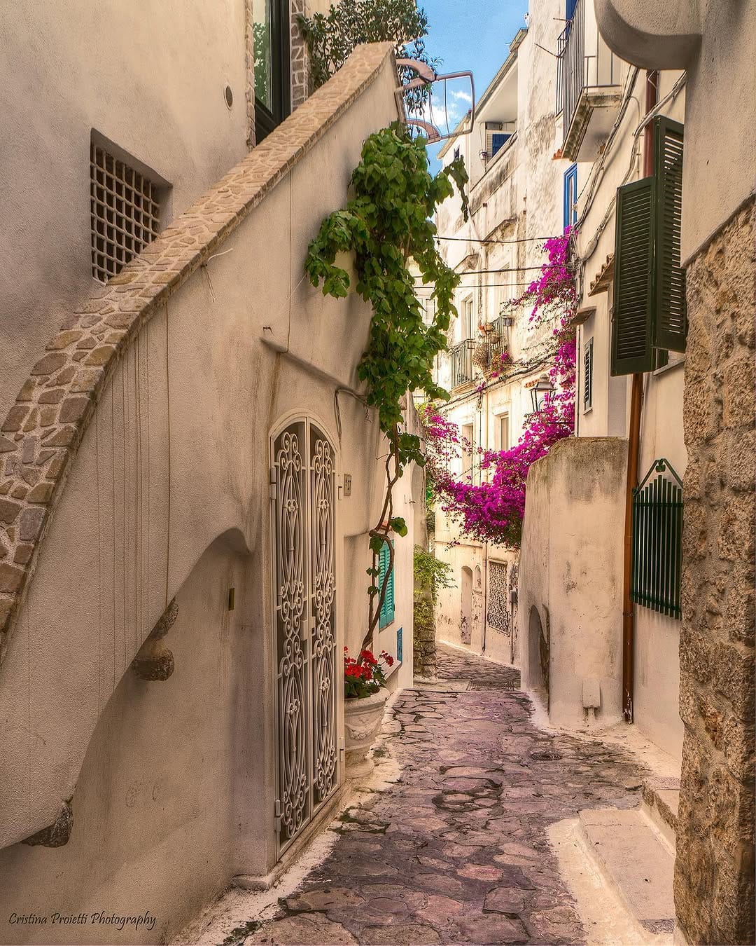 Post 10 by CRISTINA PROIETTI on Instagram (image)