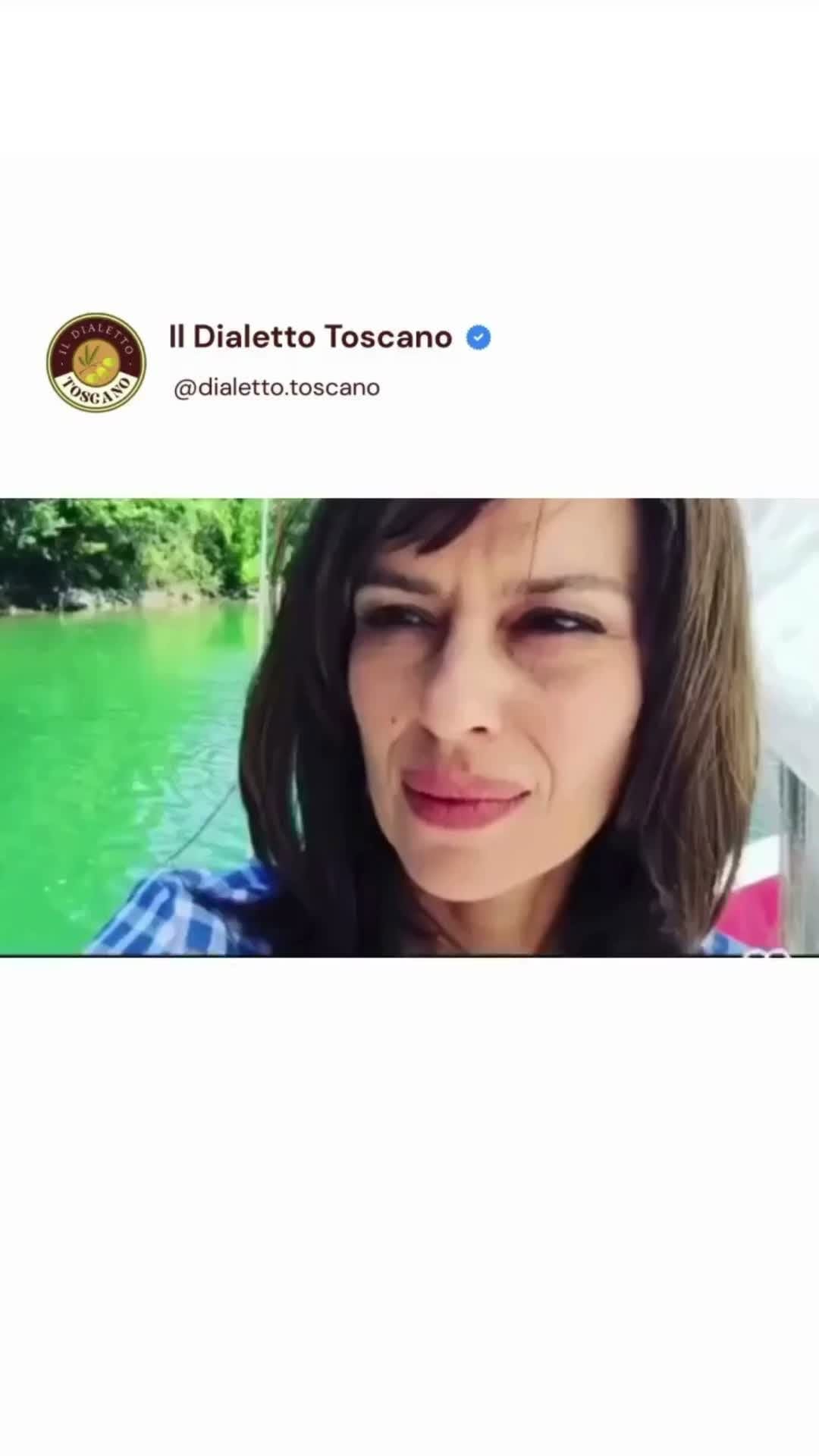 Post 4 by Il Dialetto Toscano on Instagram (video)