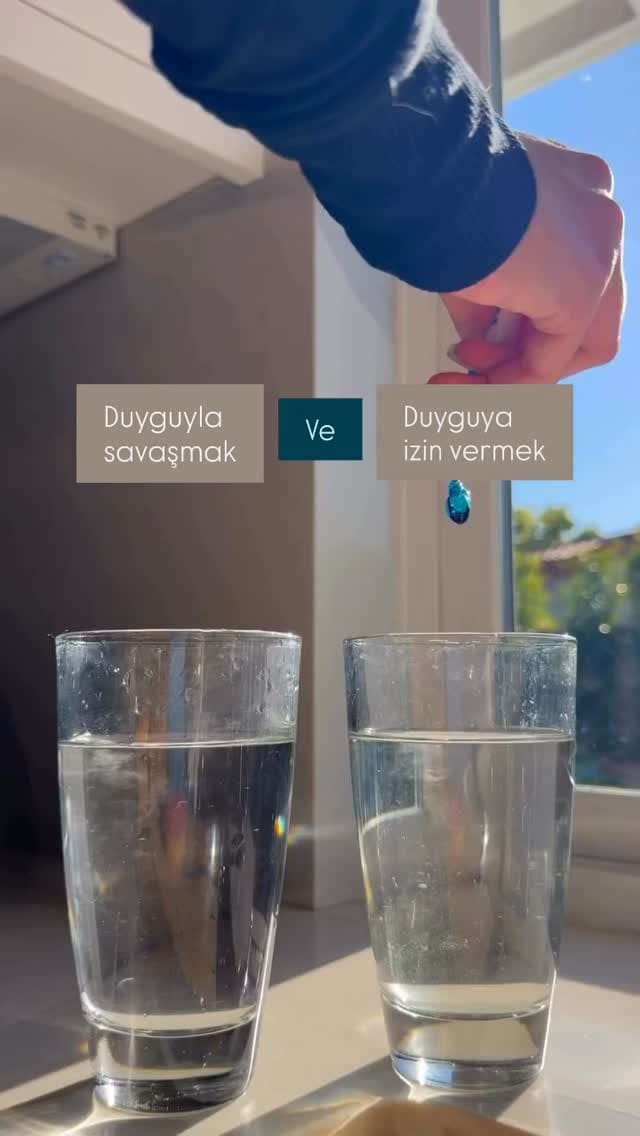 Post 7 by Klinik Psikolog Müsebbiha Tuğçe Kılınç on Instagram (video)