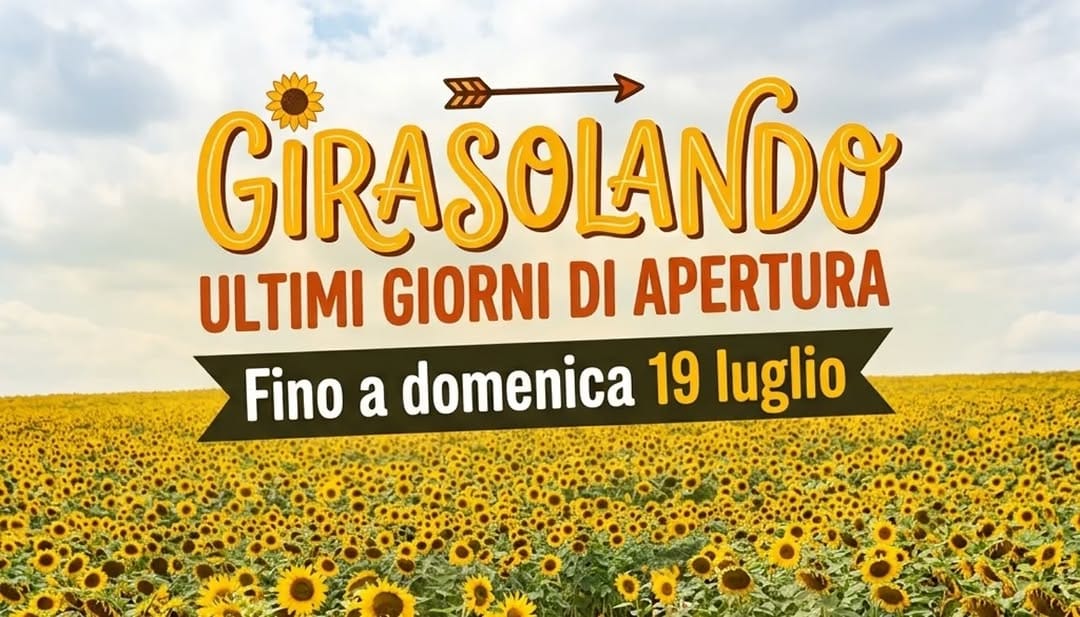 Post 3 by Fiorelilla - Cameri, Cascina Picchetta 59 (No) on Instagram (image)