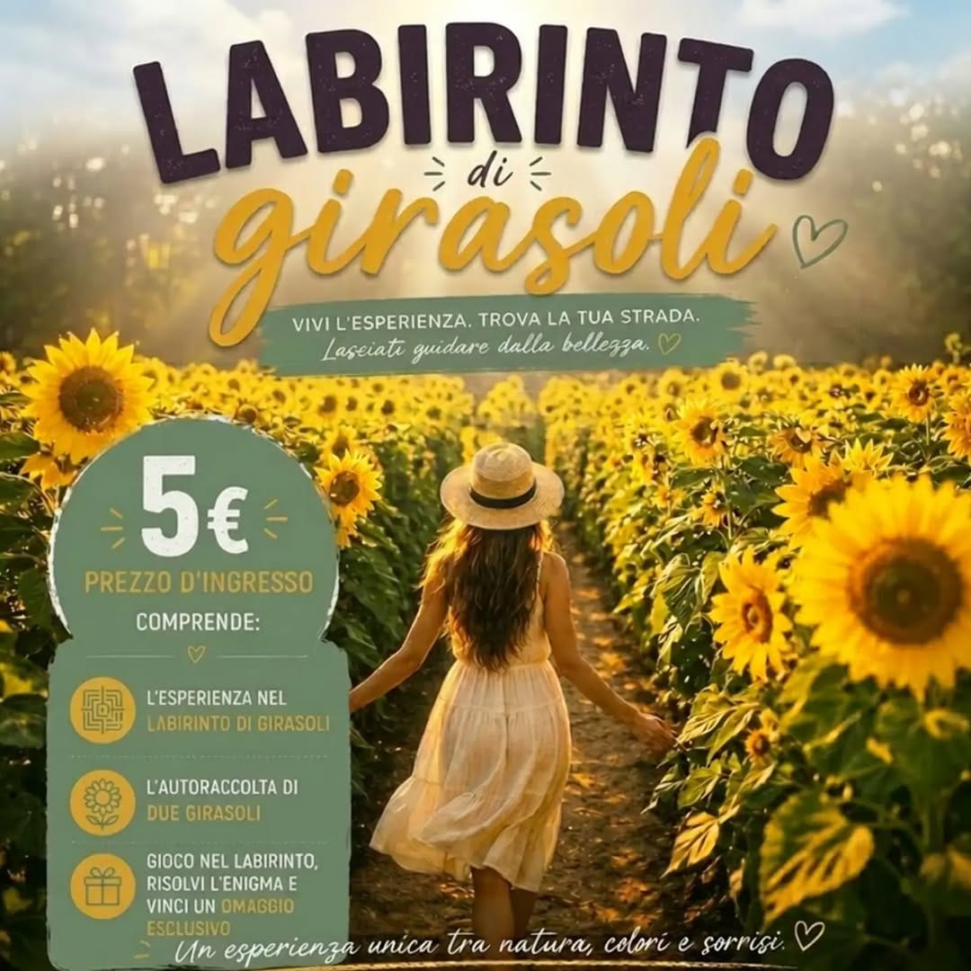 Post 10 by Fiorelilla - Cameri, Cascina Picchetta 59 (No) on Instagram (image)