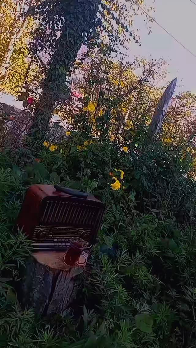 Post 1 by KÖY GÜNLÜKLERİ on Instagram (video)